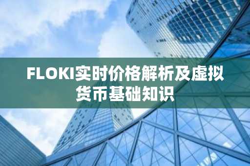 FLOKI实时价格解析及虚拟货币基础知识