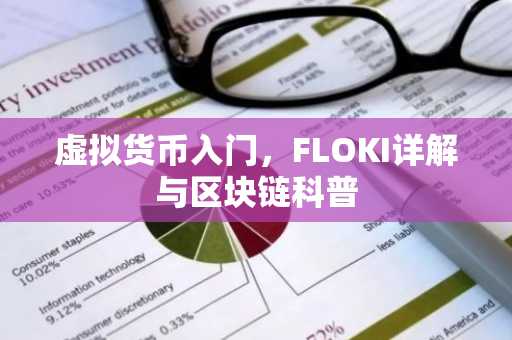虚拟货币入门，FLOKI详解与区块链科普