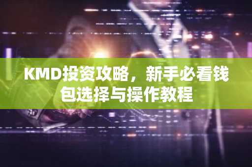 KMD投资攻略，新手必看钱包选择与操作教程