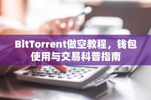 BitTorrent做空教程，钱包使用与交易科普指南