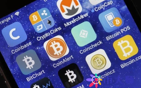 ETC钱包专业版软件玩法