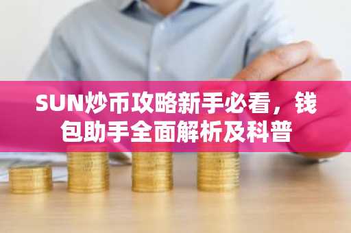 SUN炒币攻略新手必看，钱包助手全面解析及科普