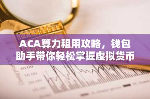 ACA算力租用攻略，钱包助手带你轻松掌握虚拟货币存储技巧