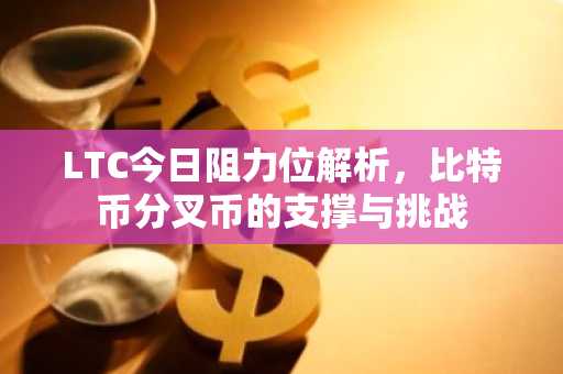 LTC今日阻力位解析，比特币分叉币的支撑与挑战