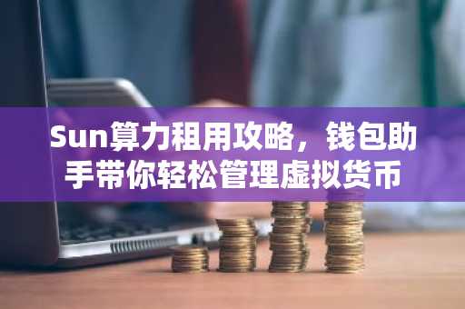 Sun算力租用攻略，钱包助手带你轻松管理虚拟货币