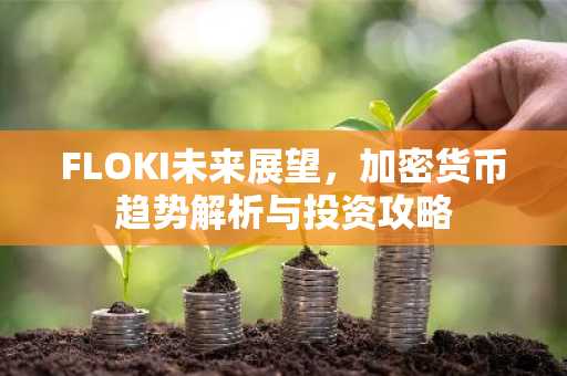 FLOKI未来展望，加密货币趋势解析与投资攻略