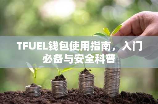 TFUEL钱包使用指南，入门必备与安全科普