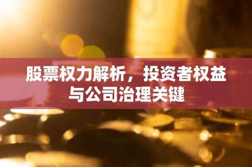股票权力解析，投资者权益与公司治理关键