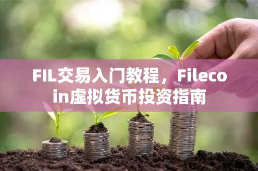 FIL交易入门教程，Filecoin虚拟货币投资指南
