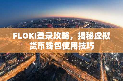 FLOKI登录攻略，揭秘虚拟货币钱包使用技巧