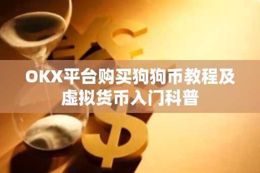 OKX平台购买狗狗币教程及虚拟货币入门科普