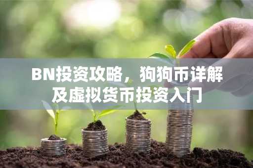BN投资攻略，狗狗币详解及虚拟货币投资入门