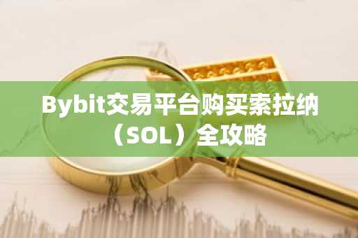 Bybit交易平台购买索拉纳（SOL）全攻略