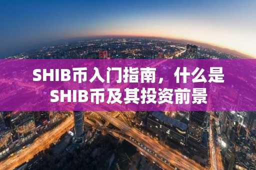 SHIB币入门指南，什么是SHIB币及其投资前景
