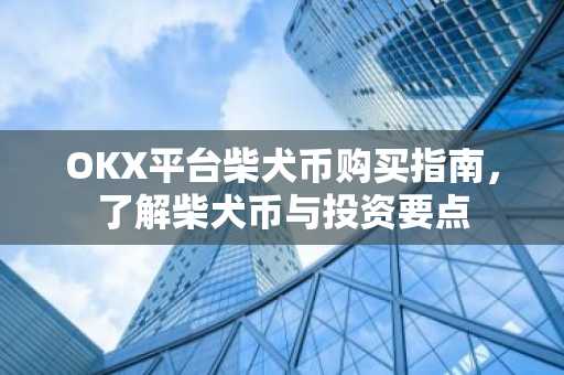 OKX平台柴犬币购买指南，了解柴犬币与投资要点