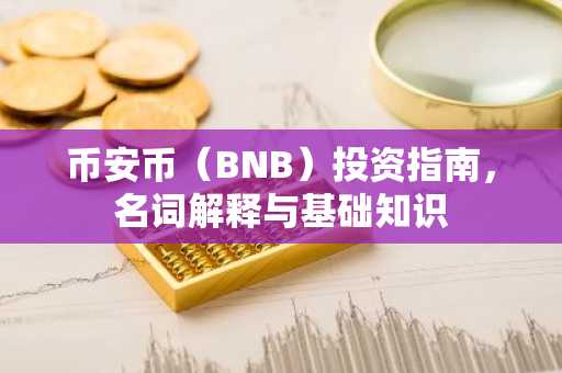 币安币（BNB）投资指南，名词解释与基础知识
