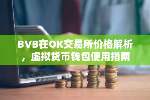 BVB在OK交易所价格解析，虚拟货币钱包使用指南