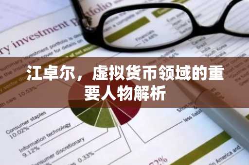 江卓尔，虚拟货币领域的重要人物解析