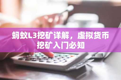 蚂蚁L3挖矿详解，虚拟货币挖矿入门必知