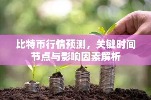 比特币行情预测，关键时间节点与影响因素解析