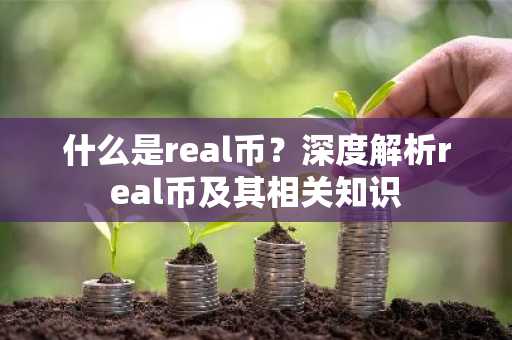 什么是real币？深度解析real币及其相关知识