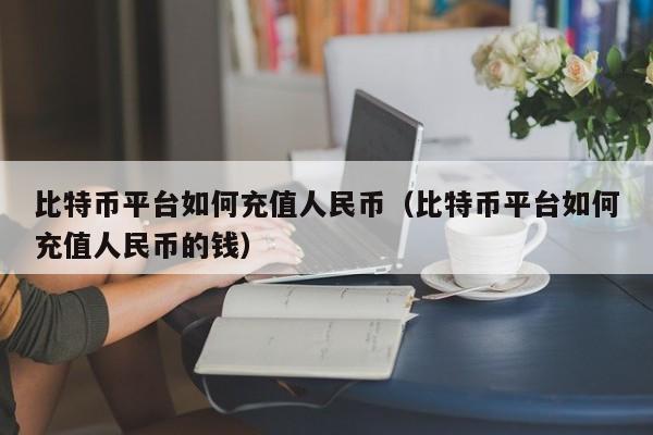比特币平台如何充值人民币（比特币平台如何充值人民币的钱）