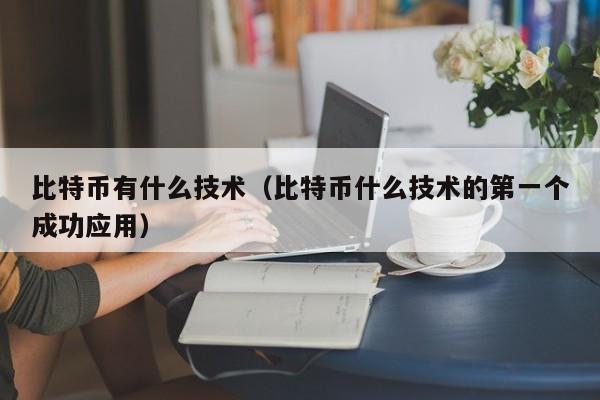 比特币有什么技术（比特币什么技术的第一个成功应用）
