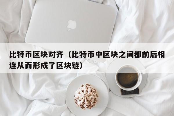 比特币区块对齐（比特币中区块之间都前后相连从而形成了区块链）