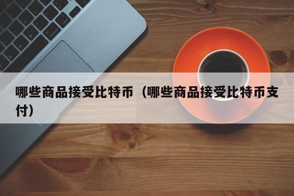 哪些商品接受比特币（哪些商品接受比特币支付）