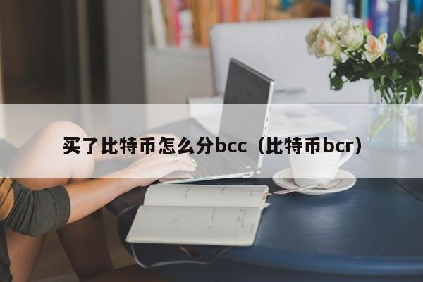 买了比特币怎么分bcc（比特币bcr）