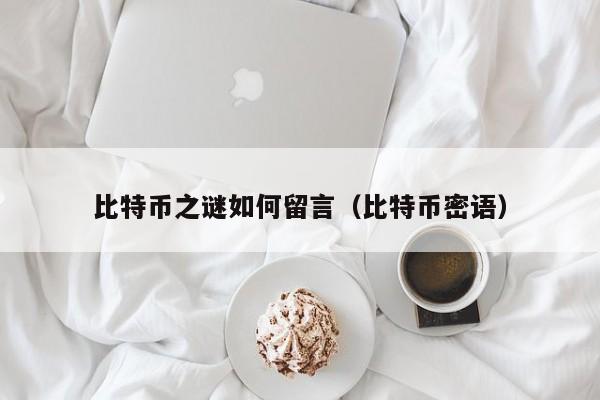 比特币之谜如何留言（比特币密语）