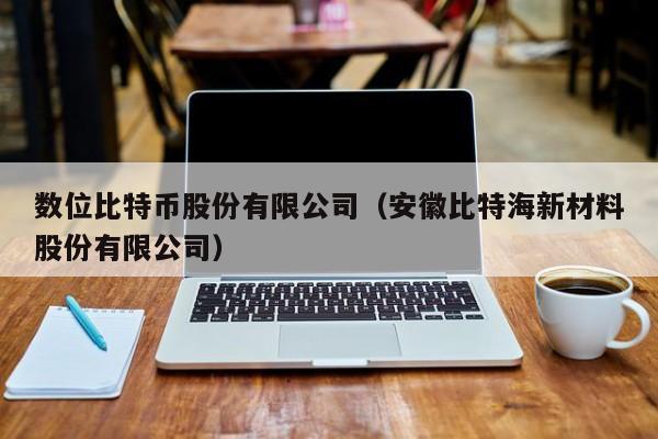 数位比特币股份有限公司（安徽比特海新材料股份有限公司）
