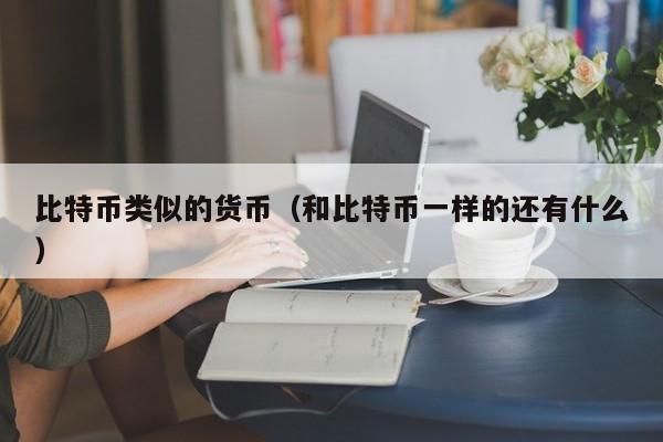 比特币类似的货币（和比特币一样的还有什么）
