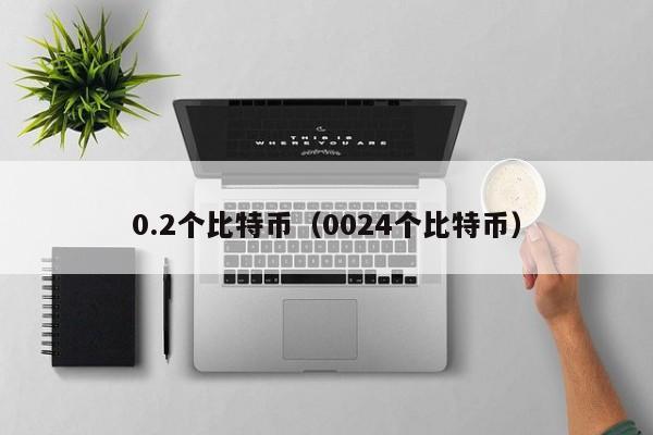 0.2个比特币（0024个比特币）