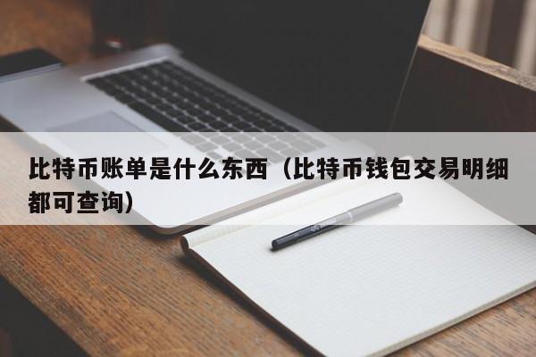 比特币账单是什么东西（比特币钱包交易明细都可查询）