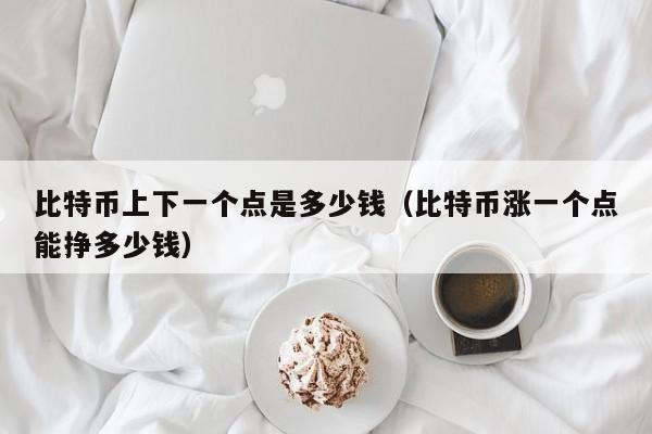 比特币上下一个点是多少钱（比特币涨一个点能挣多少钱）