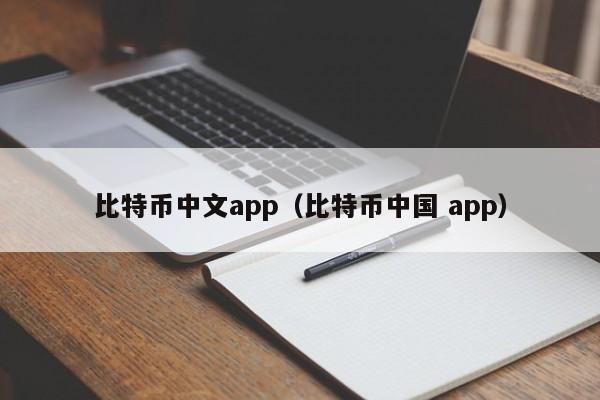 比特币中文app（比特币中国 app）