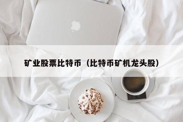 矿业股票比特币（比特币矿机龙头股）