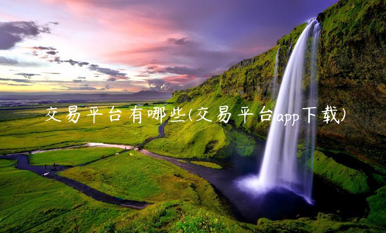 交易平台有哪些(交易平台app下载)