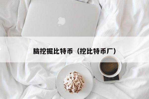 脑挖掘比特币（挖比特币厂）
