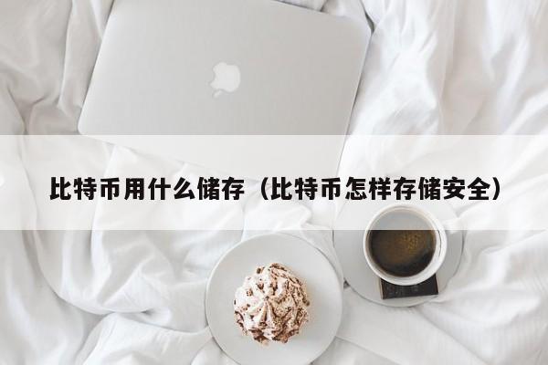 比特币用什么储存（比特币怎样存储安全）