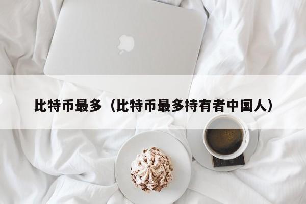 比特币最多（比特币最多持有者中国人）