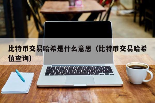比特币交易哈希是什么意思（比特币交易哈希值查询）