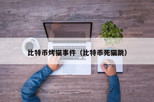 比特币烤猫事件（比特币死猫跳）