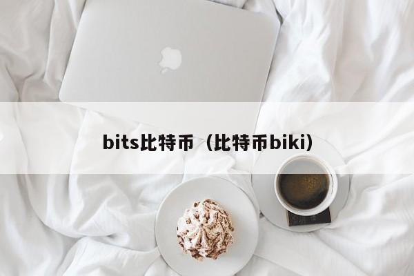 bits比特币（比特币biki）