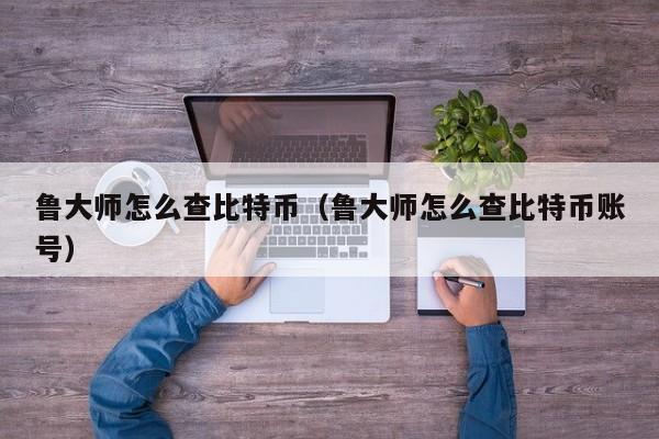 鲁大师怎么查比特币（鲁大师怎么查比特币账号）