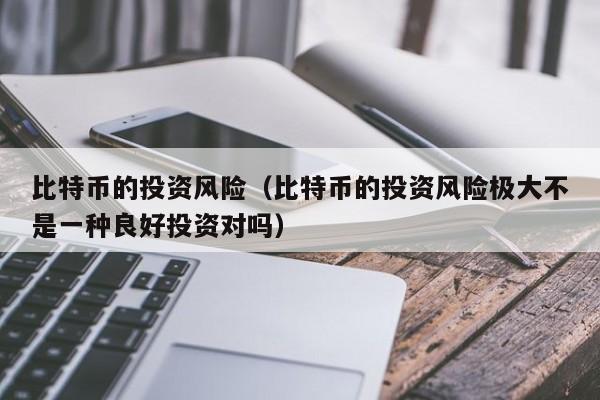 比特币的投资风险（比特币的投资风险极大不是一种良好投资对吗）