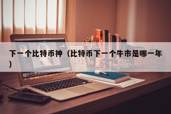 下一个比特币神（比特币下一个牛市是哪一年）