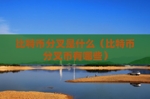 比特币分叉是什么（比特币分叉币有哪些）