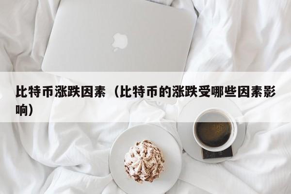 比特币涨跌因素(比特币的涨跌受哪些因素影响)